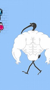 Animated Short - Workout Motivation 101: Those treadmills in the background were broken too 👀 #cartoonedits #animatorsoninstagram #gymgraffiti #gymetiquette #fitnessvideos #comedyskit #cardioworkouts | Bench Chicken