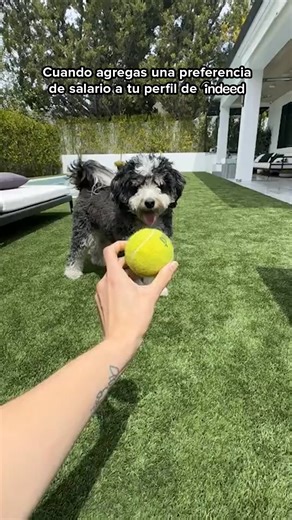 Encuentra tu empleo ideal. Crea un perfil de Indeed hoy. | Indeed