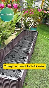 139K views · 653 reactions |  Drop "coco" in the comments to get the Organic Coconut Coir link from Gardenizi + FREE Gardening Tips Ebook 便  Clean, moisture-retaining, breathable – keeps plants healthy and lets you grow mess-free even indoors! #gardenizi #coconutcoir #organicgardening #plantcare #indoorgardening #cleangardening | Gardenizi | Facebook