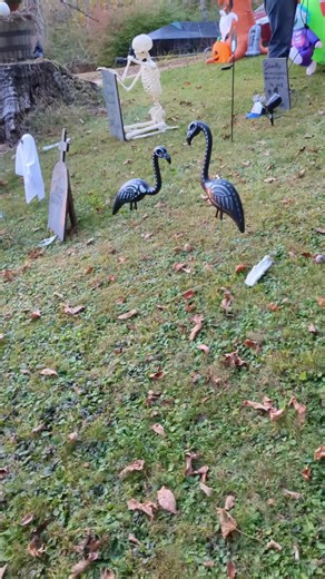 Funny Yard Sign Ideas Inspired by Liam's Humor