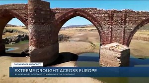 European drought dries up rivers, kills fish, shrivels crops