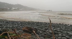 De esta manera luce la playa La Paz, luego de las lluvias que han afectado el territorio nacional. | Código 21