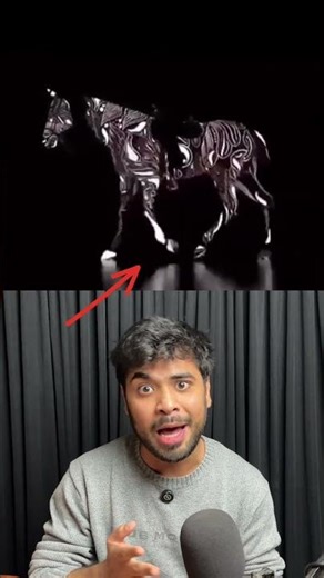 Which Side Horse Is Moving? 🐎