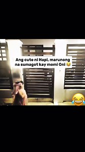 1.1M views · 10K reactions | Ang cute ni Hapi, marunong na sumagot kay momi Oni  #cttocredittotherightfulowner #cttoOfvideo #ToniFowler #TiToVince #hapigalang @topfans Sweetsy Moto | Sweetsy Moto | Facebook