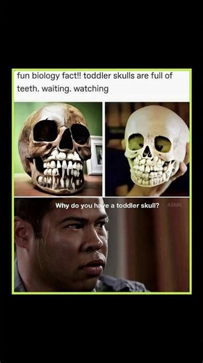 Toddler Skulls Are FULL of Teeth 😳🦷 (This Will Haunt You) #shorts