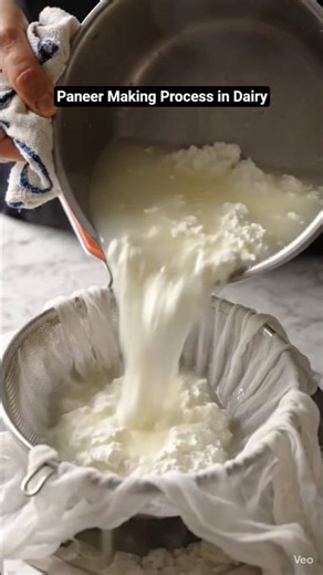 Paneer making process | How to make Paneer at home | Aise banta hai Dairy mein Paneer