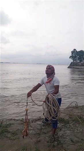 Techniques for catching fish with chicken bait #fishing -57#shark fishe