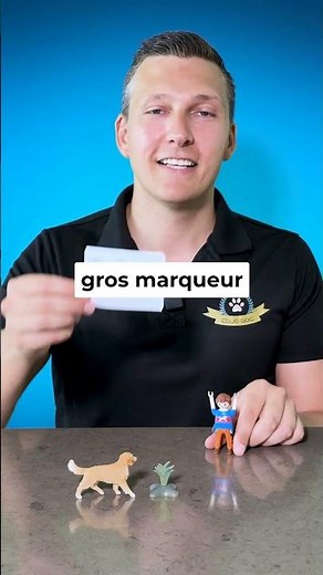 Pourquoi les chiens grattent-ils le sol après le pipi ?
