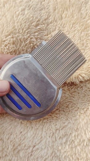 Head lice and egg removal comb 🪮 #youtubeshorts #shorts #viral