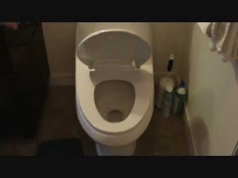 How to install a self-closing toilet seat