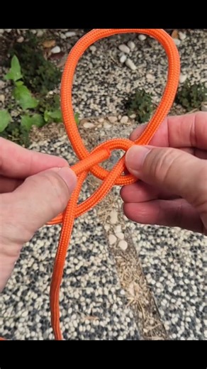 Sailing Basics Master the Bowline Knot