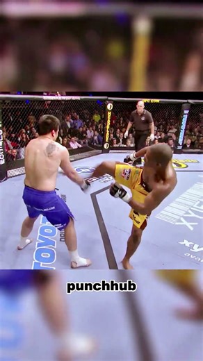 TOP 5 GREATEST KNOCKOUTS in UFC History 🏆2013