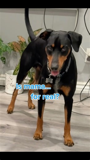 I will show mama how to take care of my package in different ways…#shorts