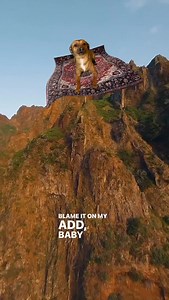 #dogsofinstagram #tootiedog #sail #flyingdog #funnydogs #magiccarpet #rescuedog #adoptdontshop #reels #viral | Tootie Dog