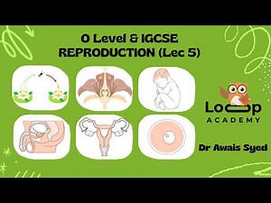 O Level IGCSE Biology - Reproduction (Lec 5)