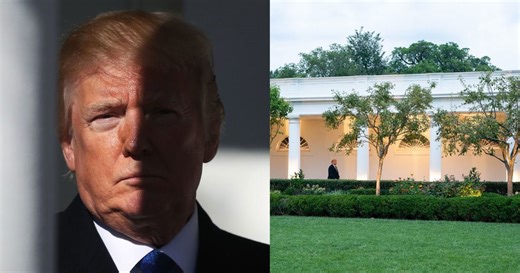 Donald Trump Builds ‘Presidential Hall of Fame’ in Rose Garden – Snubs Biden With Autopen Picture