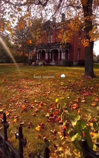 Embrace the Fall Aesthetic: Captivating Autumn Vibes