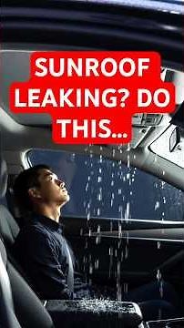 Sunroof Leaking? Do THIS to the Hidden Gasket Before Replacing It. #sunroofrepair #roofwash