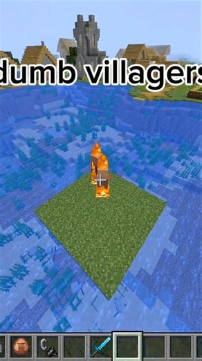 Minecraft dumb villagers 😂 #mob iq