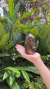 1.1K views · 80 reactions | Ever wondered about the mystic lore of...