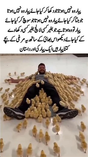 A Young Man and the Little Chicks A Heartwarming Story of Care and Kindness#Kindness#Compassion#Care