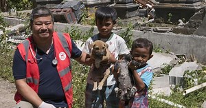 Disaster Relief for Animals