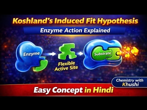 Koshland's Induced Fit Hypothesis | Enzyme Action Explained | Easy Concept in Hindi