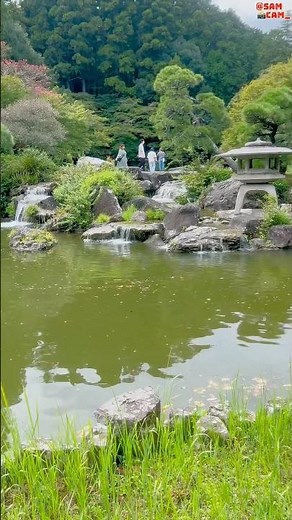 The Tranquil Art of Japanese Water Feature Design