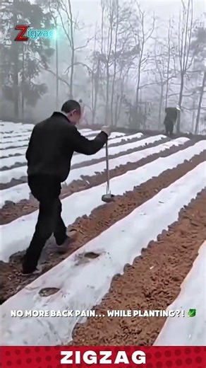 Genius Farming Tools for Fast Plastic Mulch Perforation