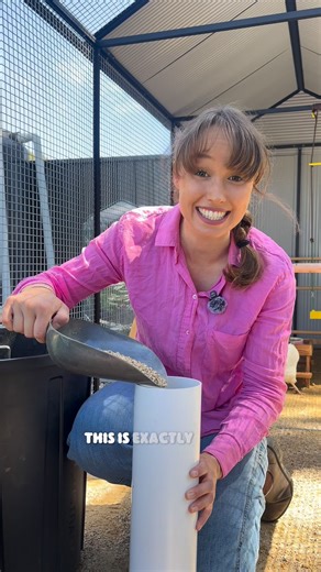 Egg production start from the inside out 🐔 Most chicken feeds don’t cover it all, which is why we use the Nesty Egg Booster Bundle. ✔️ Step 1 – Gut Guard: Supports gut health and nutrient absorption ✔️ Step 2 – Super Foods: Packed with protein and minerals for recovery laying ✔️ Step 3 – Calci Boost: Calcium-loaded for hard, consistent eggshells Our girls are happier, healthier, and laying better than ever. It’s a 3-step system that actually works. Simple to use, easy to mix into their routine.