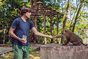 Popular Pet Monkeys: The 9 Breeds People Actually Keep