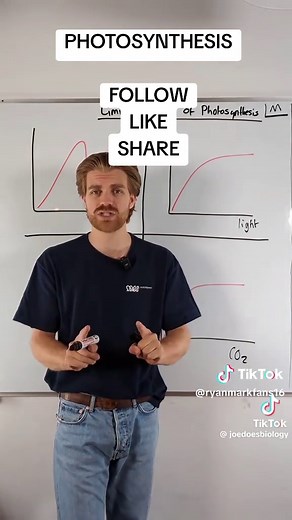 Limiting Factors of Photosynthesis Explained