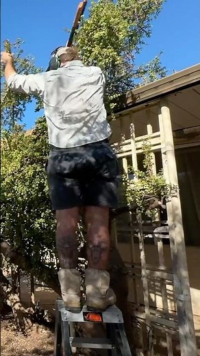 I TRANSFORMED this ABANDONED property for FREE