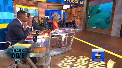 Swimming with sharks: Experience Ginger Zee's shark dive live in virtual reality