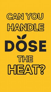 191 reactions · 46 comments | A sharp ginger kick to start your day — without the caffeine crash. Cold-pressed Peruvian ginger, hand-harvested at max potency. One small bottle, all the heat. If it’s strong, it’s DOSE. | Dose Juice | Facebook