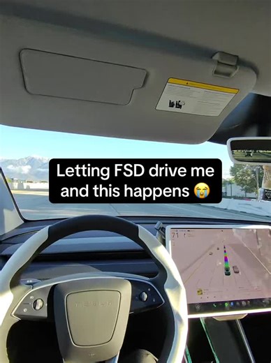 Tesla FSD Driving Experience: What Went Wrong?