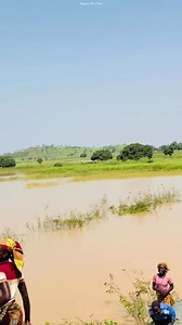 Farmer Governor Bago during today’s farm tour with Flour Mills of Nigeria Plc and foreign partners. The local farmers welcomed him with joy and admiration, reflecting the strong bond between Governor and his people. New Niger is possible with Bago. | Maigirma Wuta Wuta