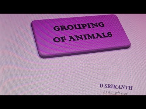 Grouping of Animals and Sham, Negative and positive control group.