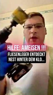 Die ganze Wand ist voll…