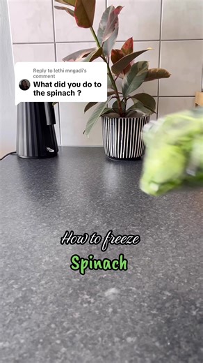 Replying to @lethi mngadi Best way to freeze baby spinach 1️⃣ Wash thoroughly: Spinach holds grit easily 2️⃣ Blanch briefly (recommended): Drop into boiling water for 20–30 seconds. Immediately transfer to ice-cold water. This preserves colour, flavour, and nutrients 3️⃣ Drain & squeeze very well: This step is critical. Use clean hands or a cloth. Remove as much water as possible 4️⃣Chop finely: Smaller pieces integrate better into cooking or smoothies. 5️⃣ Freeze: Portion into small freezer bag