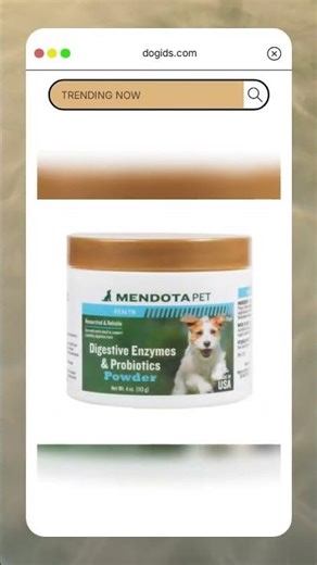 Pet Health Digestive Enzymes & Probiotics