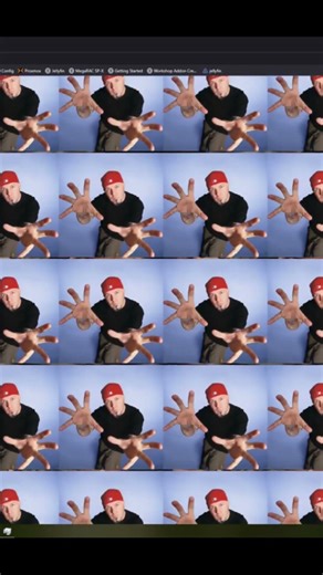 Cross Site Scripting (XSS) Vulnerability turns cat into Fred Durst. #shorts #cybersecurity #viruss