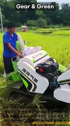 좁은 논도 거침없이 싹! 사람 손보다 100배 빠른 초소형 미니 콤바인의 위력 #Farming #Machinery #harvest