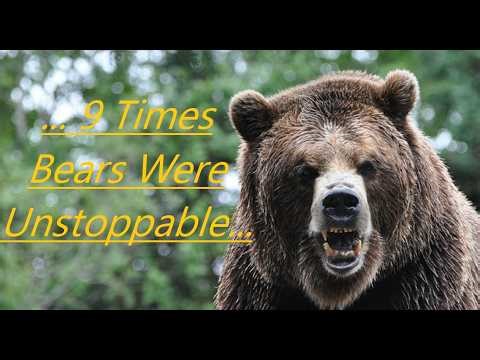 Scary Bear Attacks: An Hour Of The Most Frightening Bear Attacks