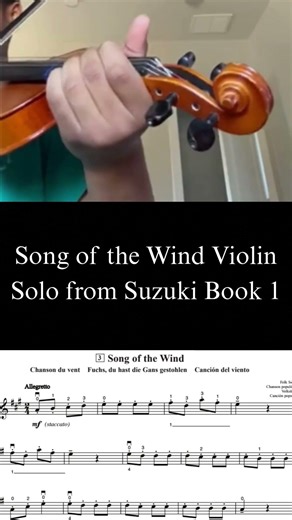 Song of the Wind Violin Solo (reupload) #foryou #violin #strings