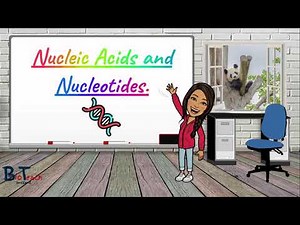 Nucleotides and Nucleic Acids - A level Biology/BTEC Applied Science - BioTeach