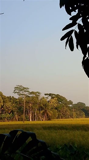 ভিডিওটি ভালো লাগলে চ্যানেলটি সাবস্ক্রাইব করুন