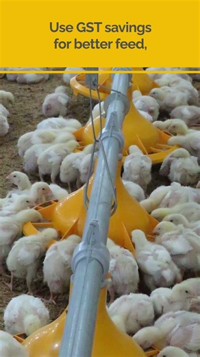 Grow Your Poultry Farm Faster – GST Slashed to 5%!
