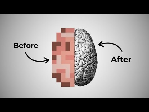 The Art of Becoming Intelligent (That Actually Works)