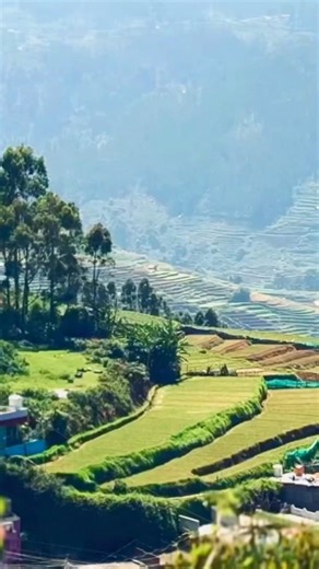 Pondi Trip | A Must Visit Place in Kodaikanal